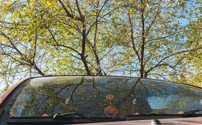 ¿Por qué está inclinado el parabrisas delantero de un coche?
